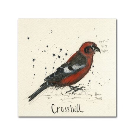 Trademark Fine Art Michelle Campbell 'Crossbill' Canvas Art, 18x18 ALI10890-C1818GG